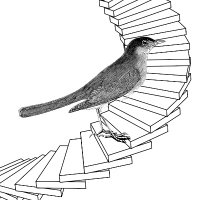 treppenwitz (@treppenstats) 's Twitter Profile Photo