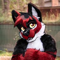 Dingo the Wolf @Winterpause (@dingokirmeswolf) 's Twitter Profile Photo