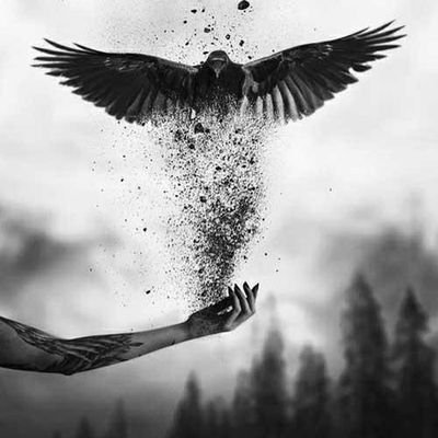 Erfanez1's profile picture. ●□☆♧♤
No legacy is as valuable as honesty