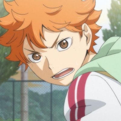 SoCoolSoDa Profile