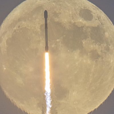 DoTheEvolution5's profile picture. Nothing posted should be taken as financial advice - as I am a Loophead and GME Pirate - so I’m insane in the membrane - 🩳🏴‍☠️💀👐