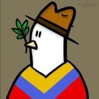 Alejandro Perea zorro (@alejoperrez0312) 's Twitter Profile Photo Alejandro Perea zorro (@alejoperrez0312) 's Twitter Profile Photo