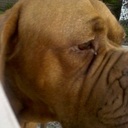 robert miller - @rgmclm - Twitter