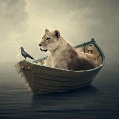 SandySa75031361's profile picture. "Je n'aime pas la blanquette de veau, je n'aime pas la blanquette de veau..."
Cherche île déserte 🌴