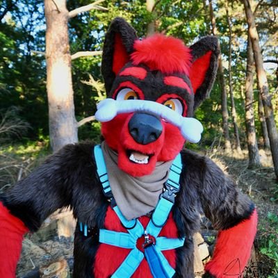 Doggo from germany/loves to be outside🏞/traveling/snowboard/sauna🔥/paintball/cook and bake🥧/paramedic🚑 / ❤️ @ArcticSpaceFox