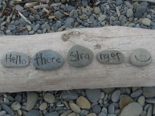 walkininthelife's profile picture. 