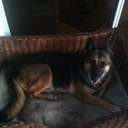 David Reisinger - @sebastiancpa - Twitter