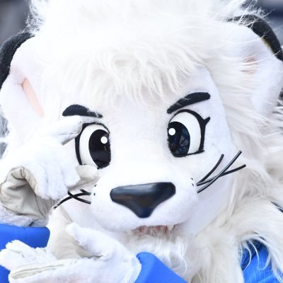 lion11326_ Profile Picture