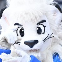 スーさん⚾︎🌱(@lion11326_) 's Twitter Profile Photo