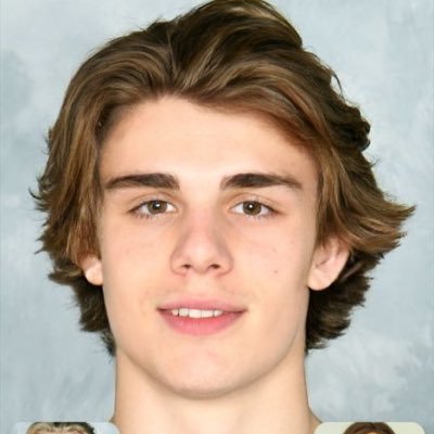 Slafguhlsky's profile picture. Habs Fan. that’s it