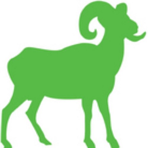 ramidinc's profile picture. 