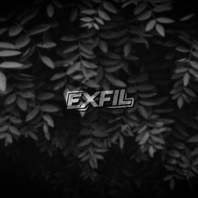 EXFIL Profile