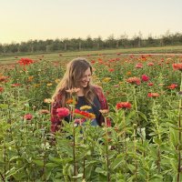 Emily 🇻🇦 (@emilykath319) 's Twitter Profile Photo Emily 🇻🇦 (@emilykath319) 's Twitter Profile Photo