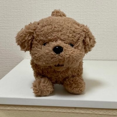 たぬきです。 羊毛フェルトで動物作り！見ていただけたら嬉しいです！ メルカリ→ https://t.co/RB1qDd1AzG ミンネ→http:https://t.co/AaeNp2WoqT クリーマ→https://t.co/UFfFh7L0sZ