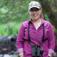 Bridget Butler, Slow Birding(@BirdDiva) 's Twitter Profile Photo