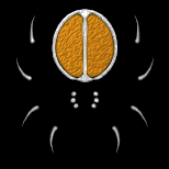 VectorRoll (@vectorroll) 's Twitter Profile Photo VectorRoll (@vectorroll) 's Twitter Profile Photo