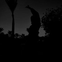 Sara ragab (@sragab17) 's Twitter Profile