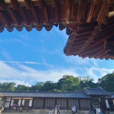 wonjunl69's profile picture. 