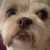 whatever (@deeberdoo420) Twitter profile photo