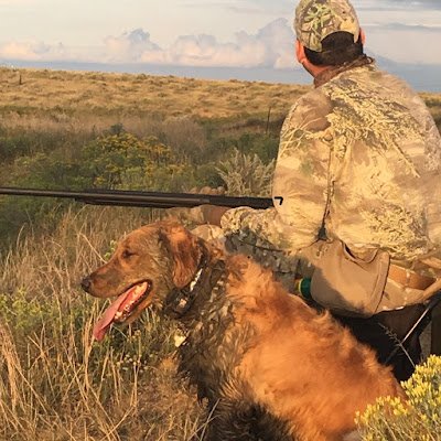 eddie_mcmasters's profile picture. 