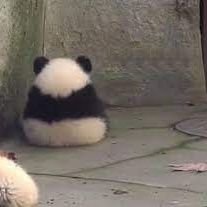 improdutivahh's profile picture. in your silence I can hear u loud