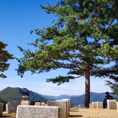 mstsumotosem's profile picture. 宗教二世について関心大。自分も家庭連合(旧統一教会)の宗教二世です。昔は留学生として長くいろんな国に住んでいました。今は日本で韓国人夫と25年以上暮らしています。