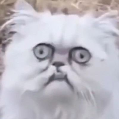 pangfuxn_'s profile picture. Call me mommy #แป้งฝุ่นแจกแจก