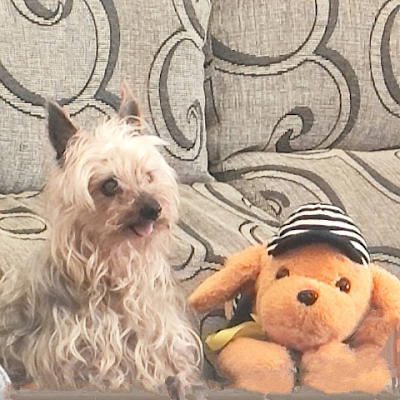 selegna965's profile picture. 