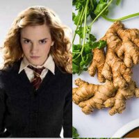 Hermione Ginger(@marsileacrnt) 's Twitter Profile Photo