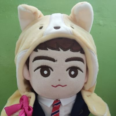 fanacc, she/her, 20+ || NU'EST | SEVENTEEN | DAY6 | WayV ||