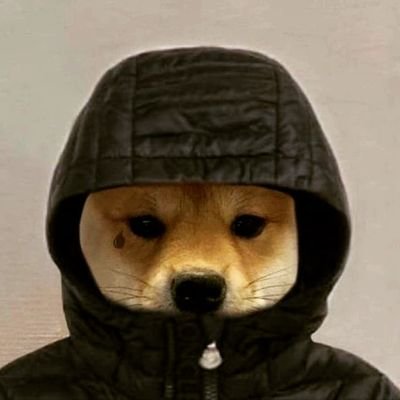 IRodriZr21's profile picture. 