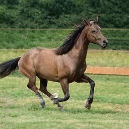 SarahCa77572283's profile picture. 