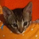 Christian islas - @christian_islas - Twitter