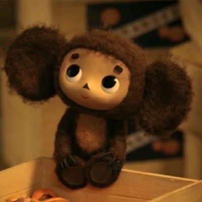 curiousvlxd's profile picture.
