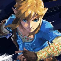 The Hero Of The Wild (@linkloz3) 's Twitter Profile