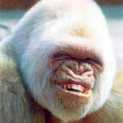 DreBeets22's profile picture. 