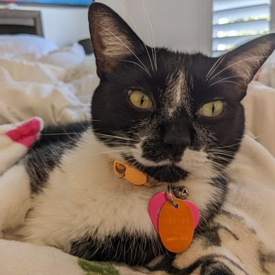 leanntanner's profile picture. Who's Watching The Watchers?