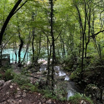 frank0nardi's profile picture. just reading