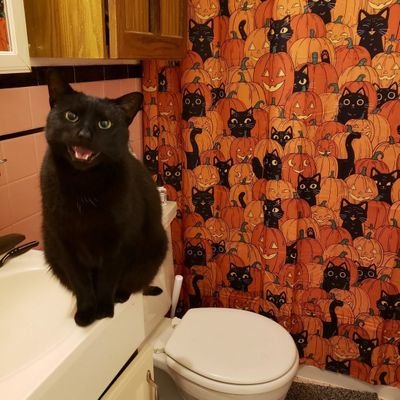 MaxFell0129's profile picture. Уже не тридцать лет,а ума так и нет. Здесь чтобы ретвитить арты с бычками, мужиков и может что-то ещё. Медведь 🏳‍🌈🐻