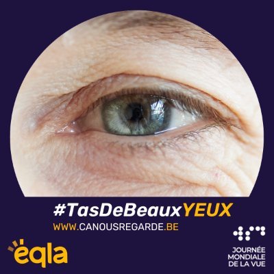 Auditeur - Formateur accessibilité web
Coordinateur Accessia chez Eqla