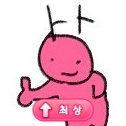 🌸  관상용 퐁냥 / 성인 / 장르계X, NCP  🌸