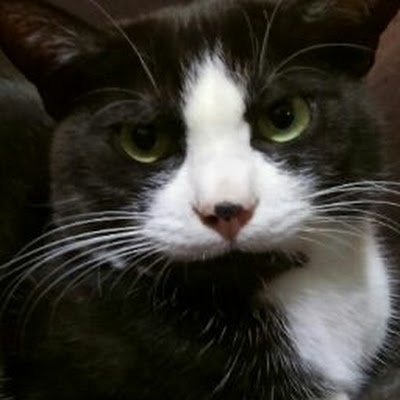 uXQph0tYDsjMNer's profile picture. noteへの投稿の連絡を主にしています