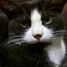 uXQph0tYDsjMNer's profile picture. noteへの投稿の連絡を主にしています