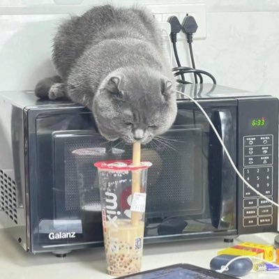 ubrecenacubka's profile picture. ex dekadent | full time hater