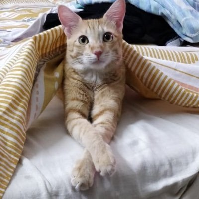 bramhi1995's profile picture. 🙂