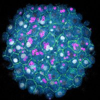 Ruprecht Lab (@ruprecht_lab) 's Twitter Profile Photo Ruprecht Lab (@ruprecht_lab) 's Twitter Profile Photo