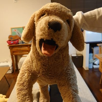 ﾌﾟﾆさんのプロフィール画像