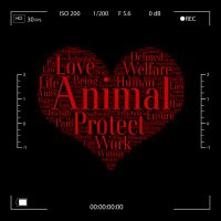 Natalia Frutos (@nataliafrutos_) 's Twitter Profile Photo