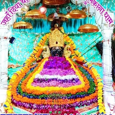 Abhishe71453525's profile picture. 