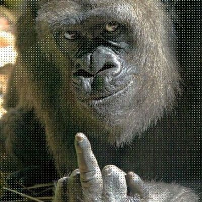 bakoyoyo's profile picture. Trying something new